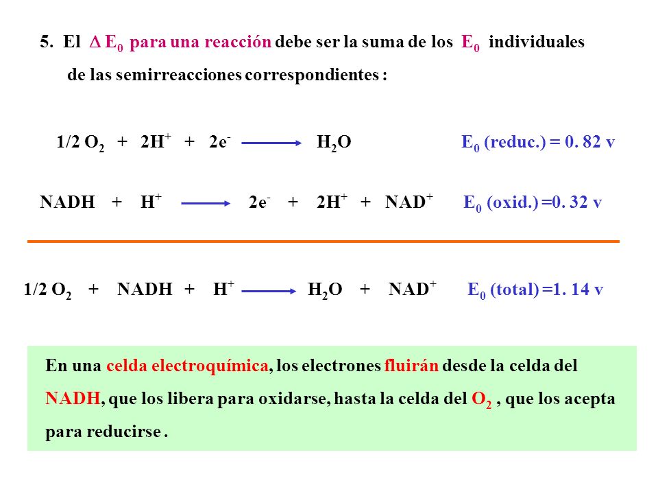 5. El  E0 para una reacción debe ser la suma de los E0 individuales