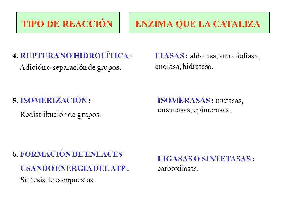 TIPO DE REACCIÓN ENZIMA QUE LA CATALIZA 4. RUPTURA NO HIDROLÍTICA :