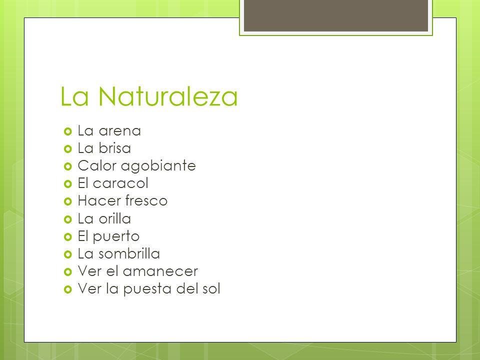La Naturaleza La arena La brisa Calor agobiante El caracol