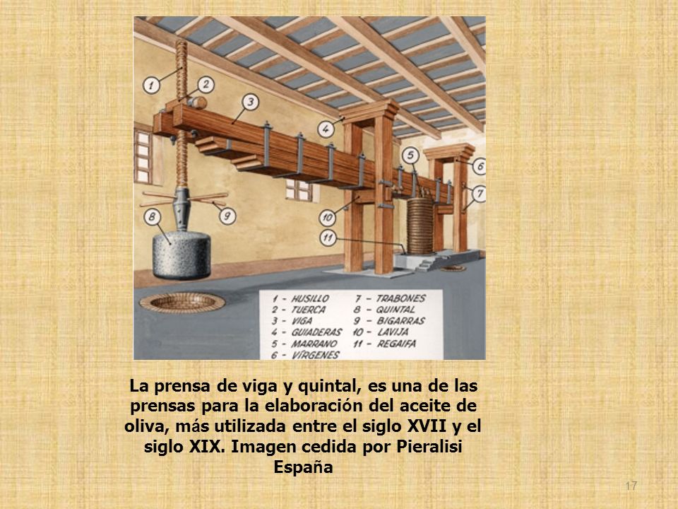 La prensa de viga y quintal, es una de las prensas para la elaboración del aceite de oliva, más utilizada entre el siglo XVII y el siglo XIX.
