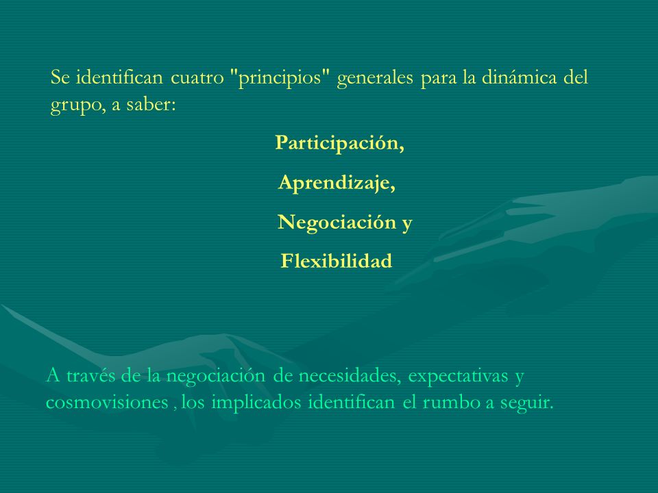 Se identifican cuatro principios generales para la dinámica del grupo, a saber: