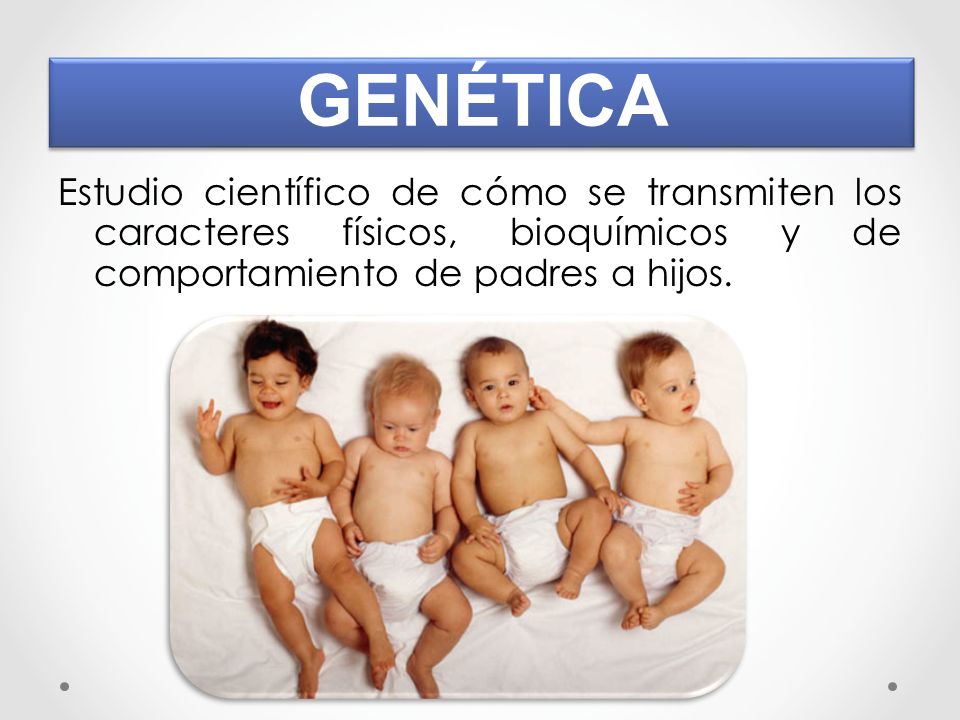 GENÉTICA Estudio científico de cómo se transmiten los caracteres físicos, bioquímicos y de comportamiento de padres a hijos.