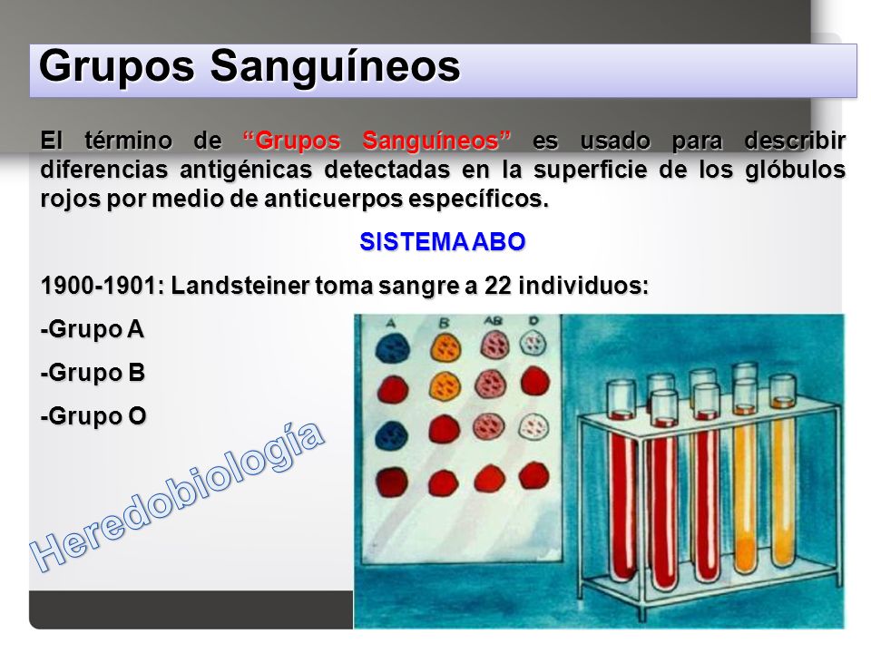 Grupos Sanguíneos Heredobiología