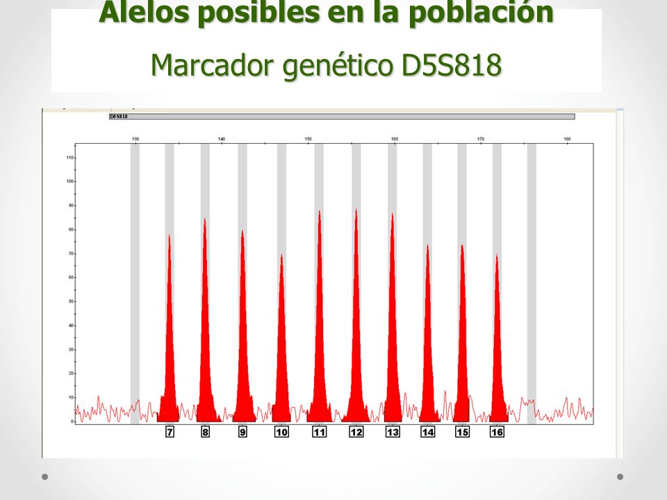 Alelos posibles en la población Marcador genético D5S818