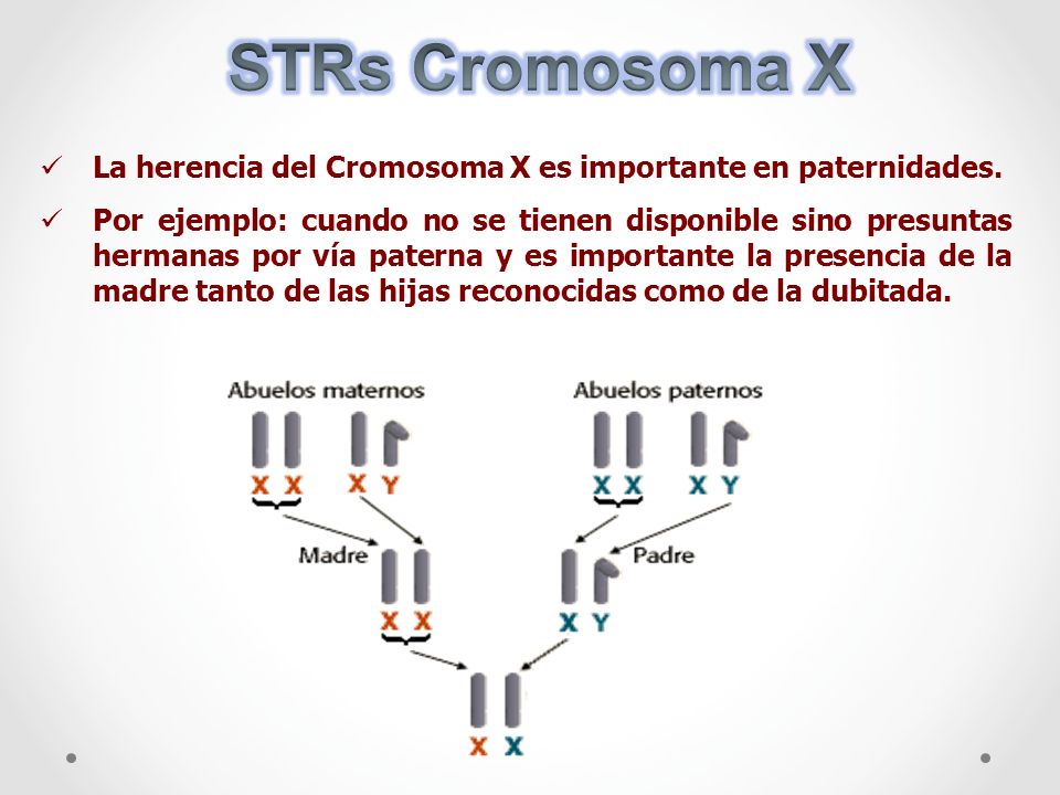 STRs Cromosoma X La herencia del Cromosoma X es importante en paternidades.