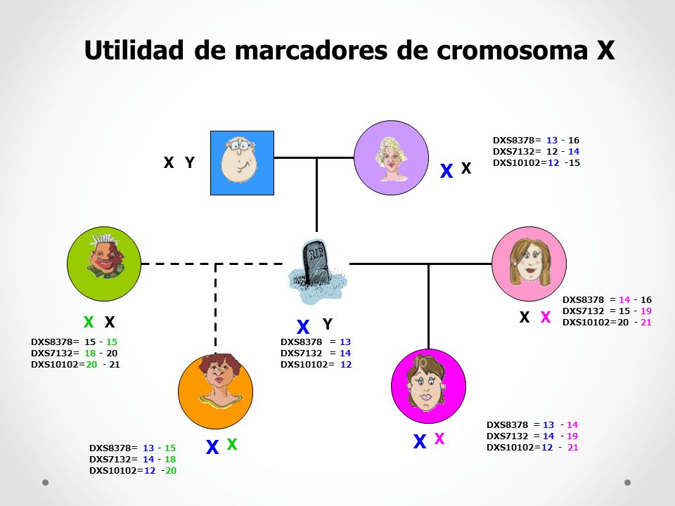 Utilidad de marcadores de cromosoma X
