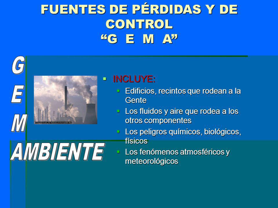 FUENTES DE PÉRDIDAS Y DE CONTROL G E M A