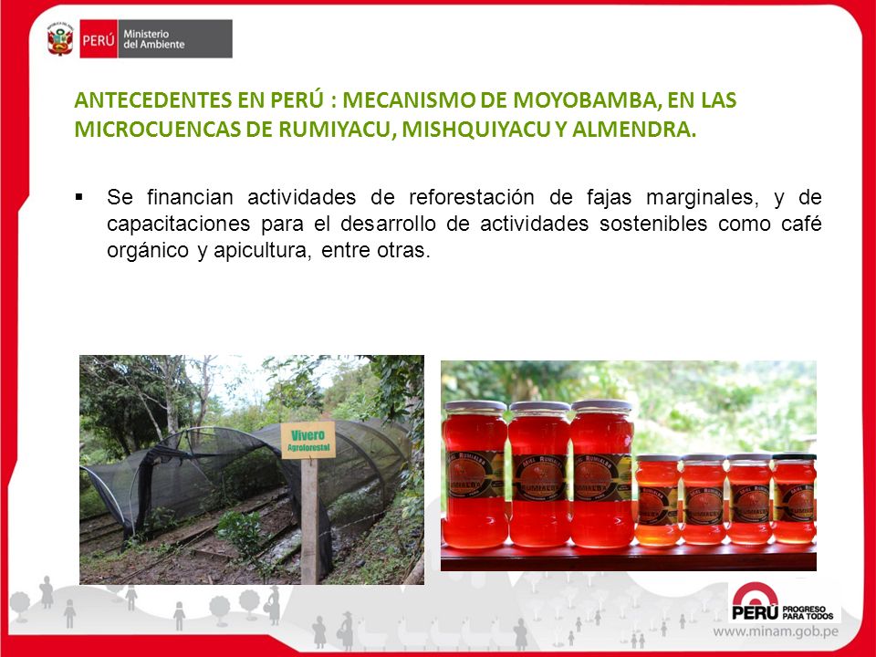 ANTECEDENTES EN PERÚ : MECANISMO DE MOYOBAMBA, EN LAS MICROCUENCAS DE RUMIYACU, MISHQUIYACU Y ALMENDRA.