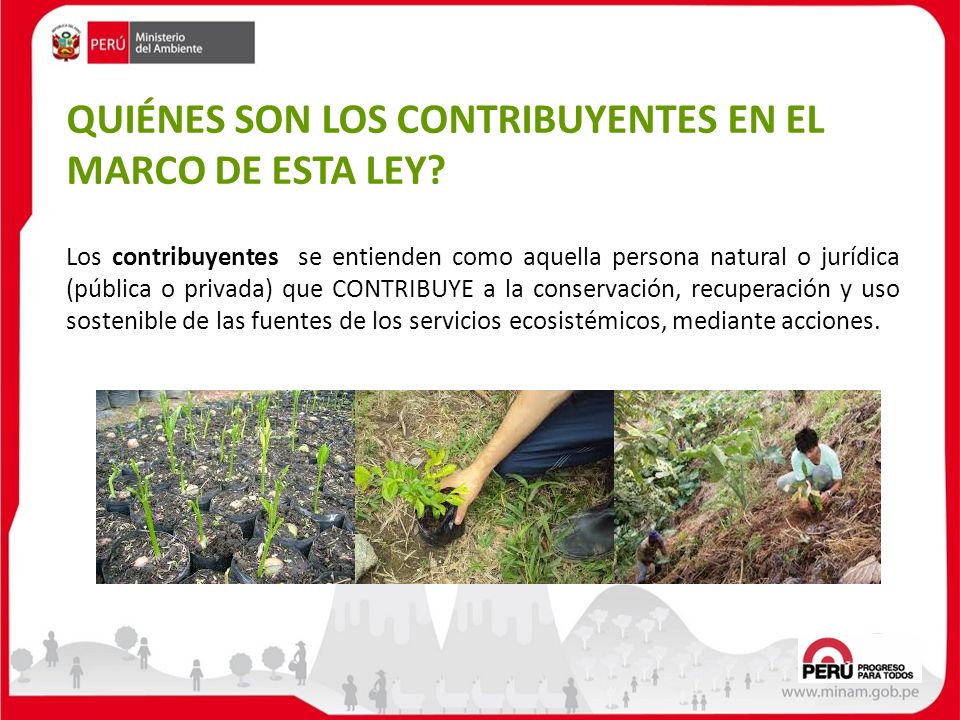 QUIÉNES SON LOS CONTRIBUYENTES EN EL MARCO DE ESTA LEY