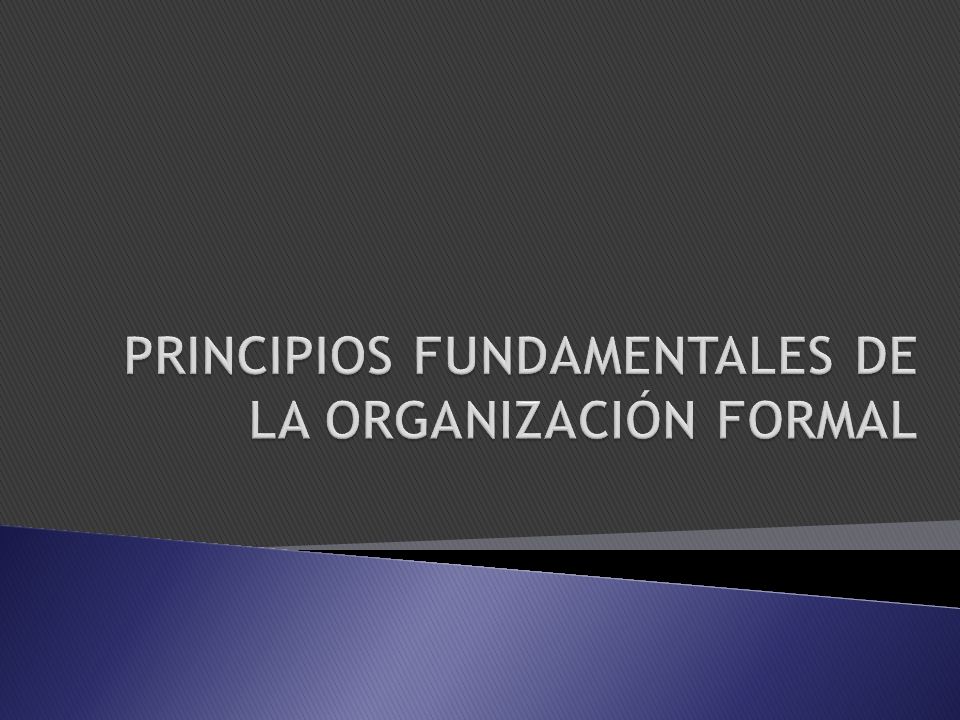 PRINCIPIOS FUNDAMENTALES DE LA ORGANIZACIÓN FORMAL