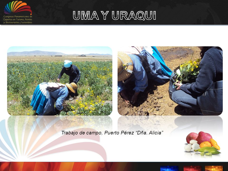 UMA Y URAQUI Trabajo de campo, Puerto Pérez Dña. Alicia