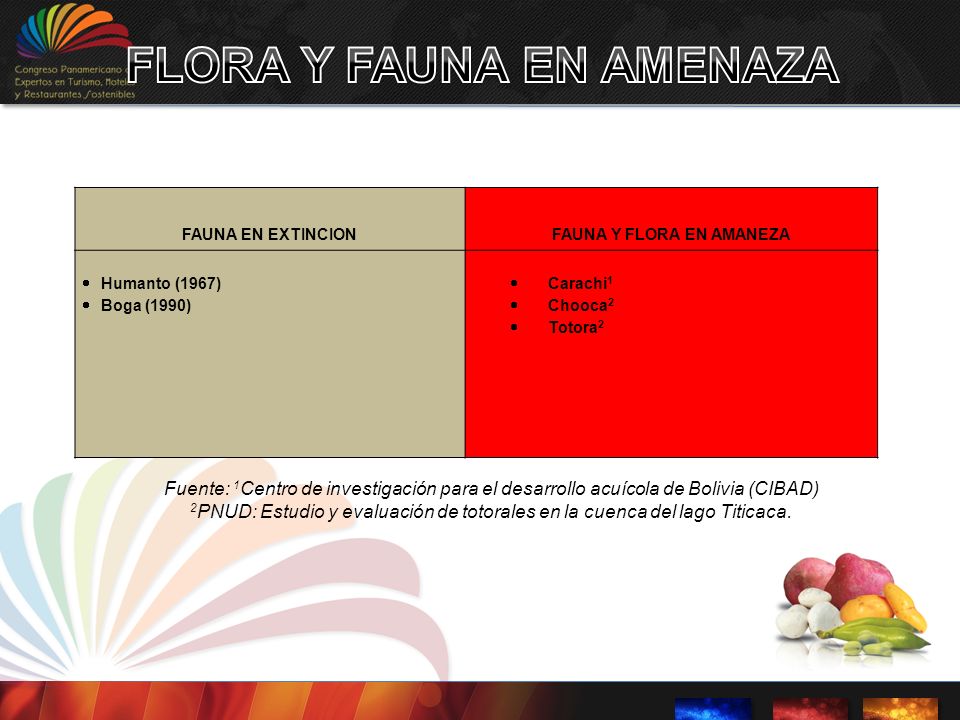 FLORA Y FAUNA EN AMENAZA FAUNA Y FLORA EN AMANEZA