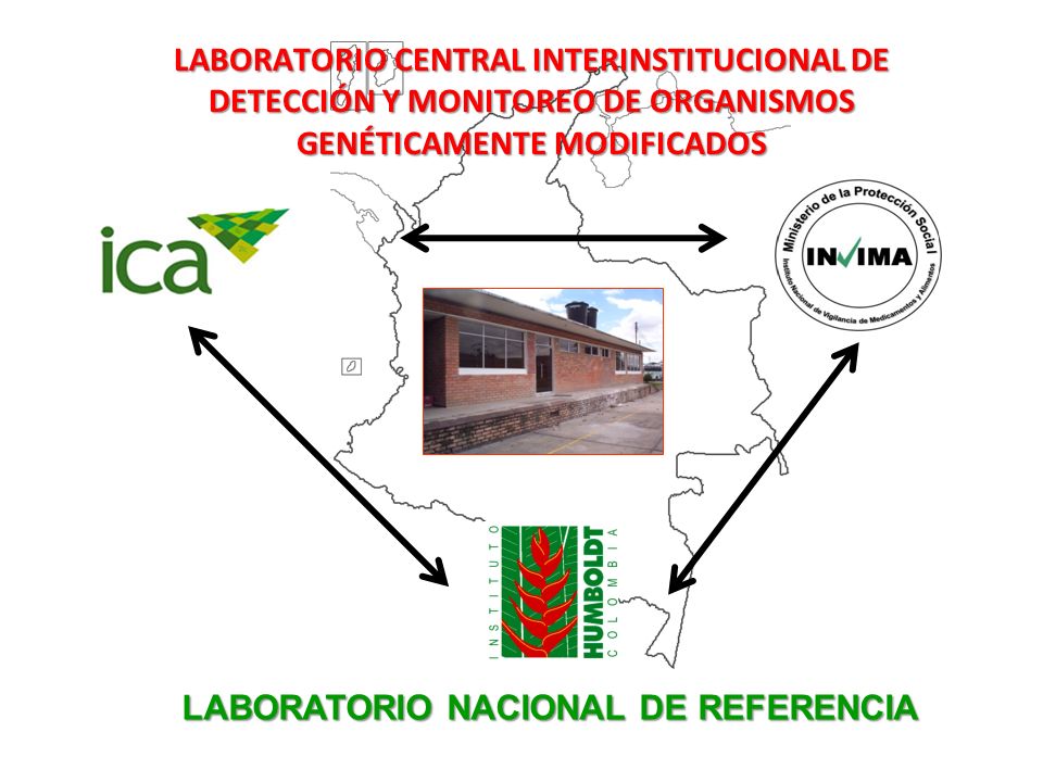 LABORATORIO CENTRAL INTERINSTITUCIONAL DE DETECCIÓN Y MONITOREO DE ORGANISMOS GENÉTICAMENTE MODIFICADOS