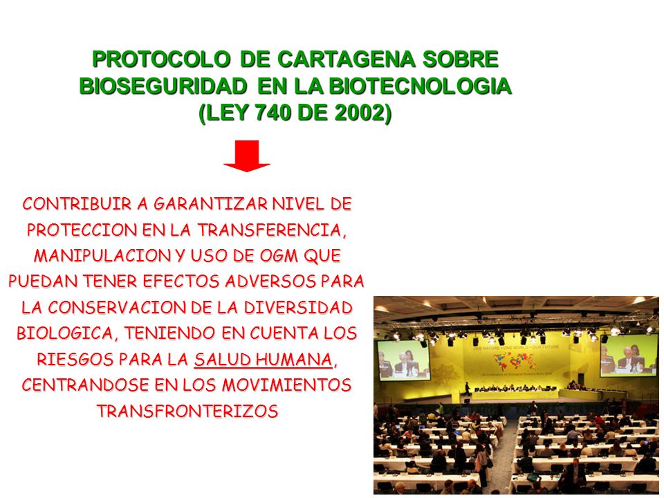 PROTOCOLO DE CARTAGENA SOBRE BIOSEGURIDAD EN LA BIOTECNOLOGIA