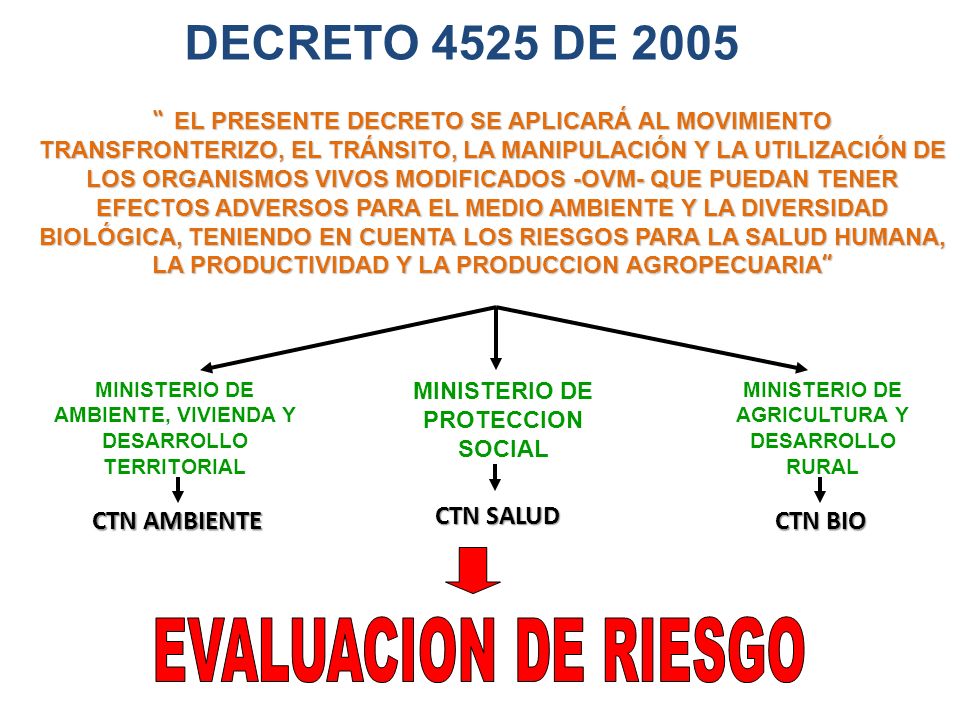 DECRETO 4525 DE 2005 EVALUACION DE RIESGO CTN AMBIENTE CTN SALUD