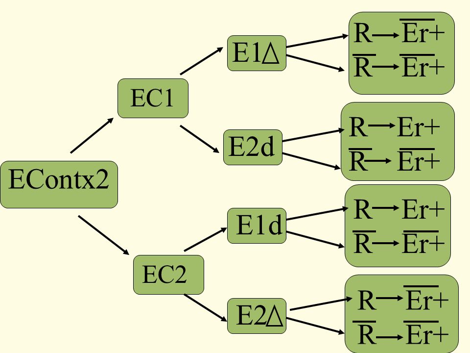 R Er+ E1 EC1 R Er+ E2d EContx2 R Er+ E1d EC2 R Er+ E2
