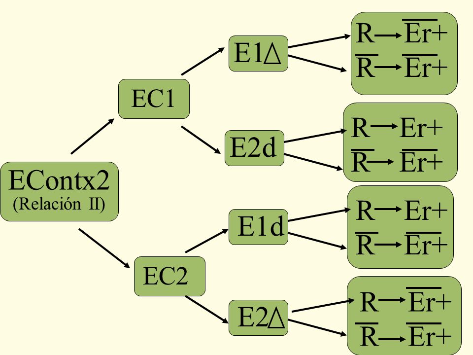 R Er+ E1 EC1 R Er+ E2d EContx2 (Relación II) R Er+ E1d EC2 R Er+ E2