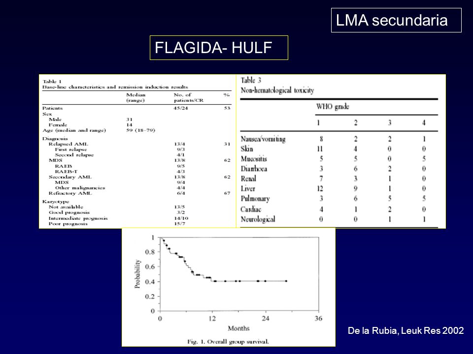 LMA secundaria FLAGIDA- HULF De la Rubia, Leuk Res 2002