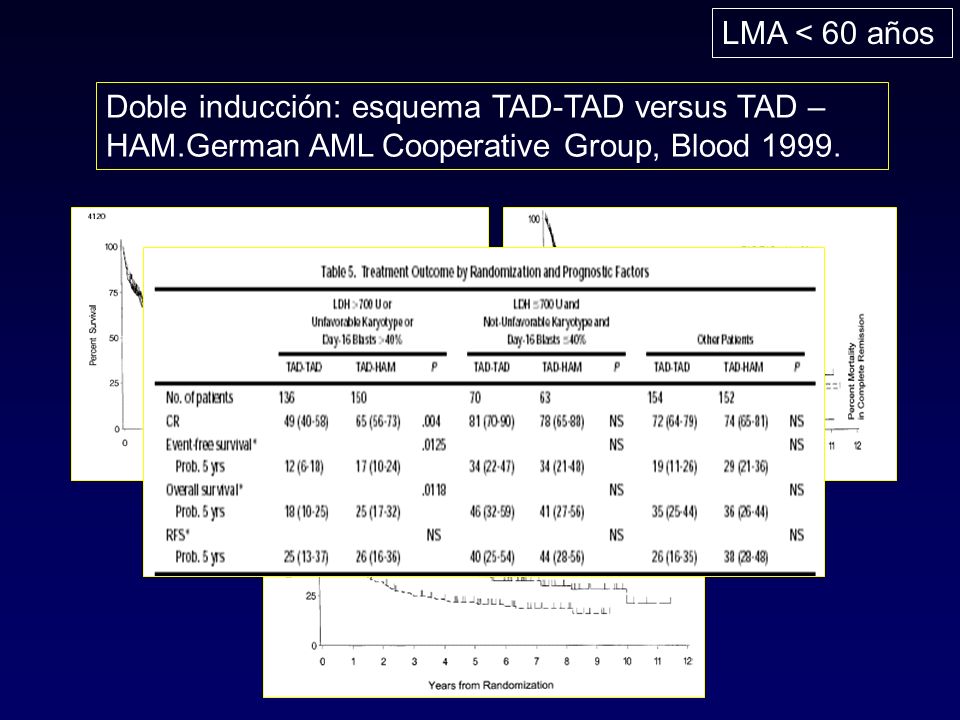 LMA < 60 años Doble inducción: esquema TAD-TAD versus TAD –HAM.German AML Cooperative Group, Blood