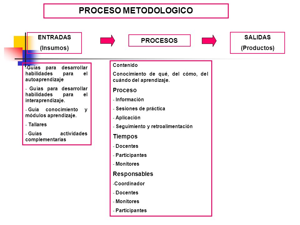PROCESO METODOLOGICO PROCESOS ENTRADAS SALIDAS (Insumos) (Productos)