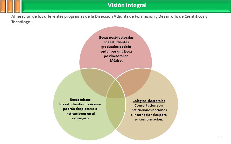 Visión integral Alineación de los diferentes programas de la Dirección Adjunta de Formación y Desarrollo de Científicos y Tecnólogo: