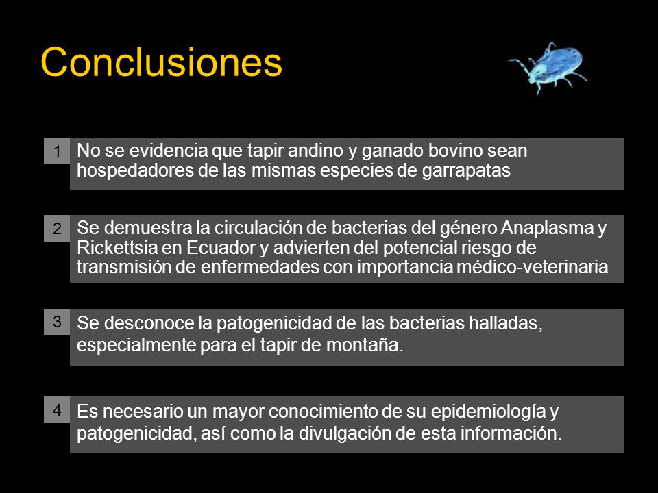Conclusiones 1. No se evidencia que tapir andino y ganado bovino sean hospedadores de las mismas especies de garrapatas.