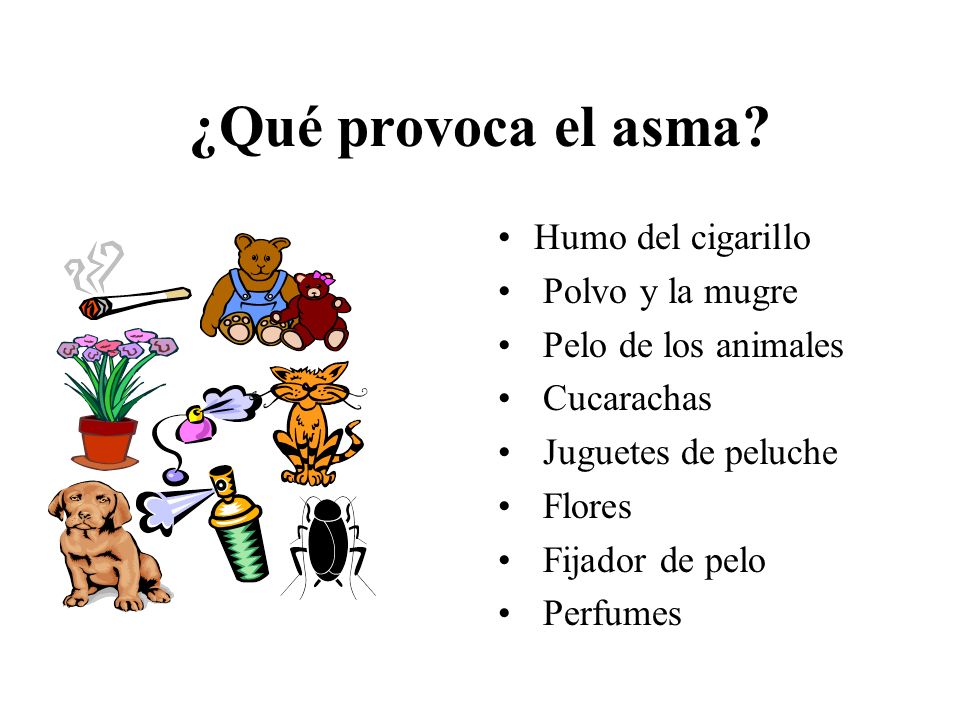 ¿Qué provoca el asma Humo del cigarillo Polvo y la mugre
