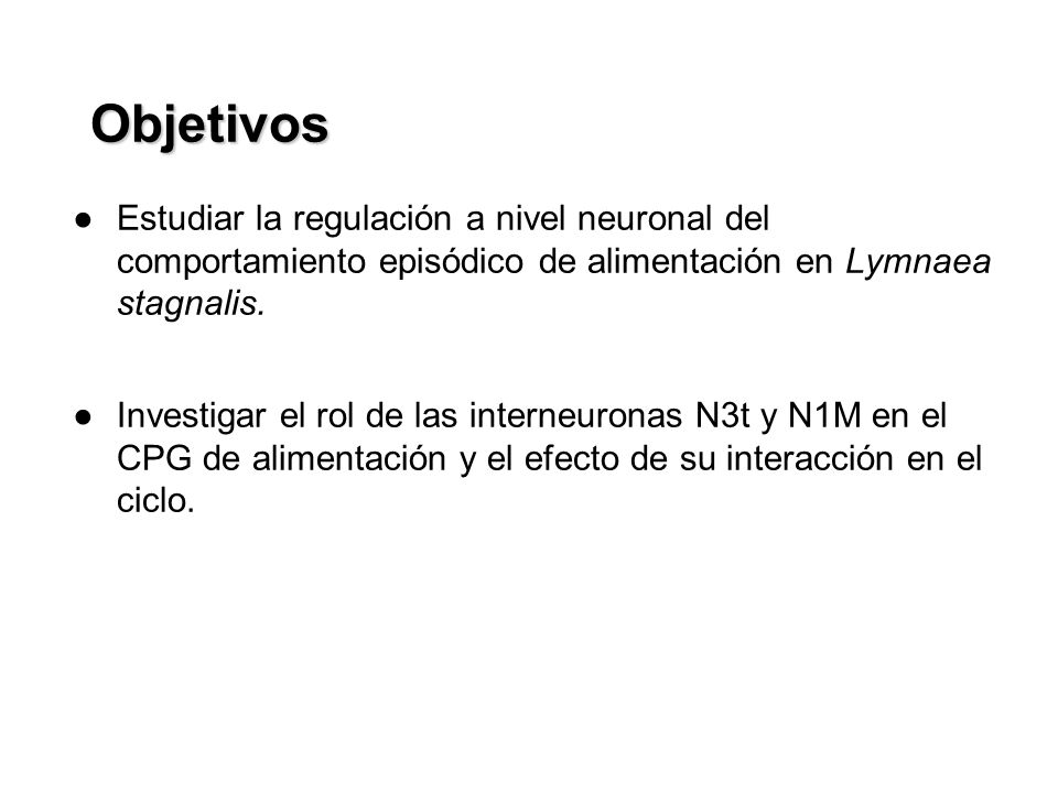Objetivos Estudiar la regulación a nivel neuronal del comportamiento episódico de alimentación en Lymnaea stagnalis.