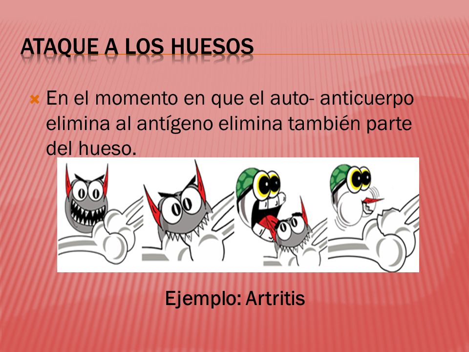 ATAQUE A LOS HUESOS En el momento en que el auto- anticuerpo elimina al antígeno elimina también parte del hueso.