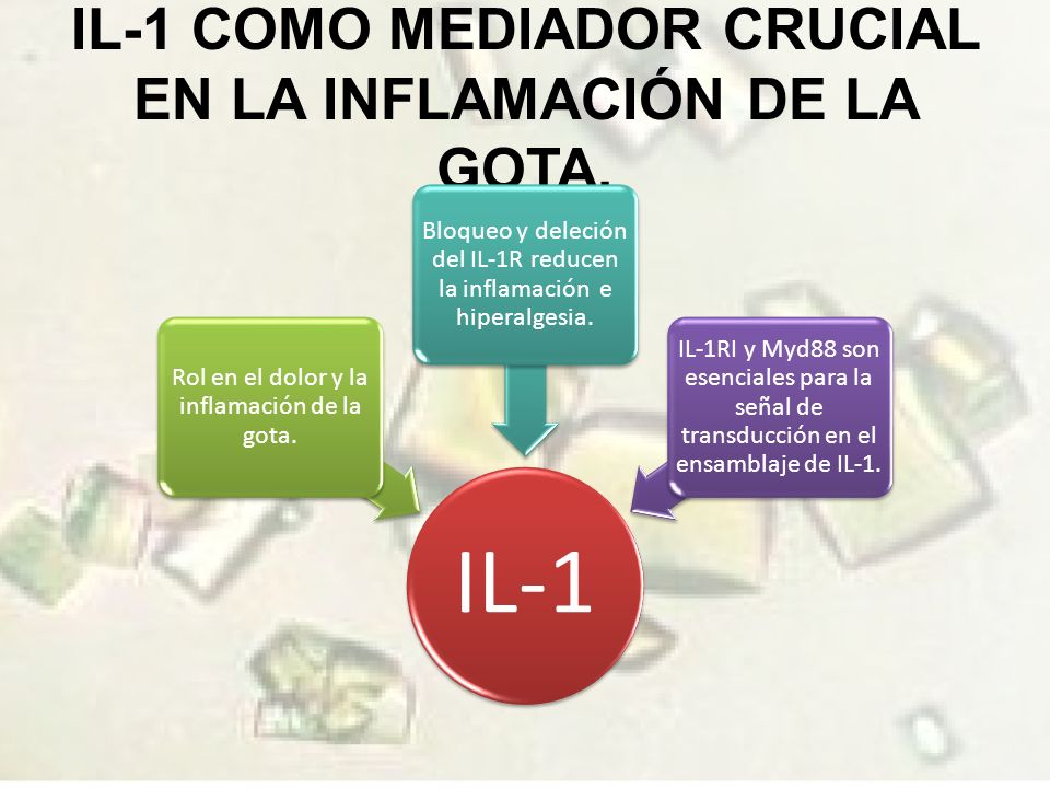IL-1 COMO MEDIADOR CRUCIAL EN LA INFLAMACIÓN DE LA GOTA.