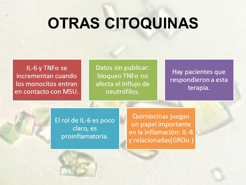 OTRAS CITOQUINAS IL-6 y TNF se incrementan cuando los monocitos entran en contacto con MSU.