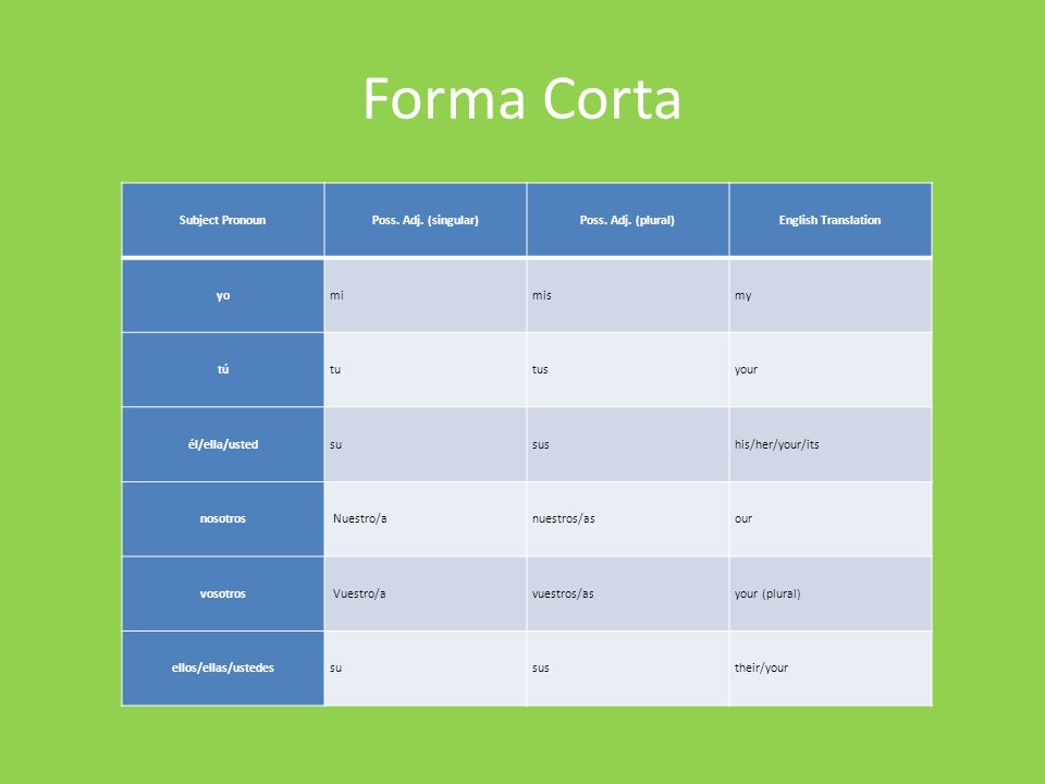Forma Corta Subject Pronoun Poss. Adj. (singular) Poss. Adj. (plural)