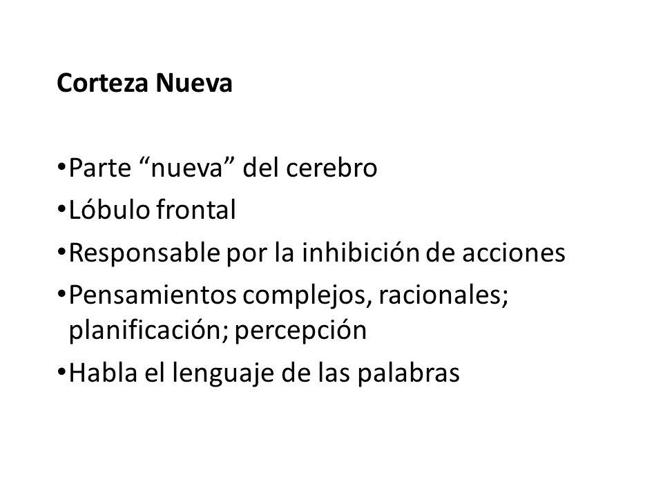 Corteza Nueva Parte nueva del cerebro. Lóbulo frontal. Responsable por la inhibición de acciones.