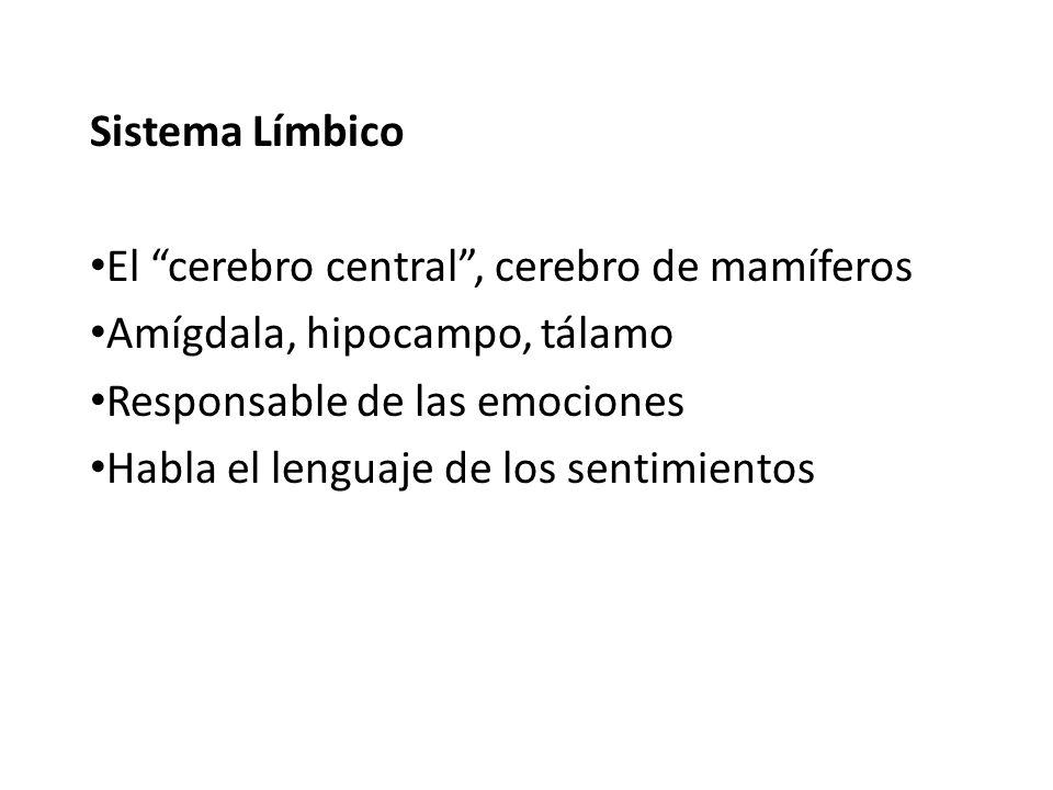 Sistema Límbico El cerebro central , cerebro de mamíferos. Amígdala, hipocampo, tálamo. Responsable de las emociones.