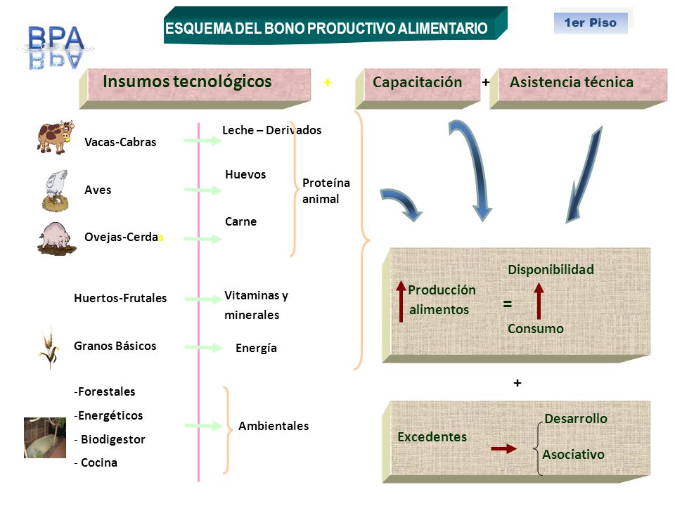 = + + Producción + ESQUEMA DEL BONO PRODUCTIVO ALIMENTARIO