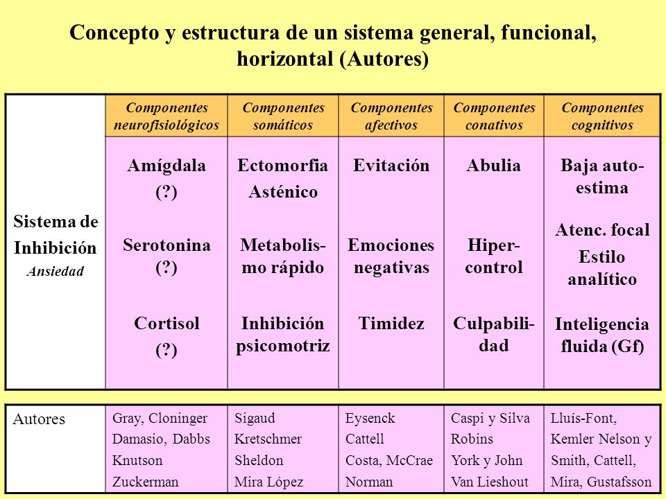 Concepto y estructura de un sistema general, funcional, horizontal (Autores)