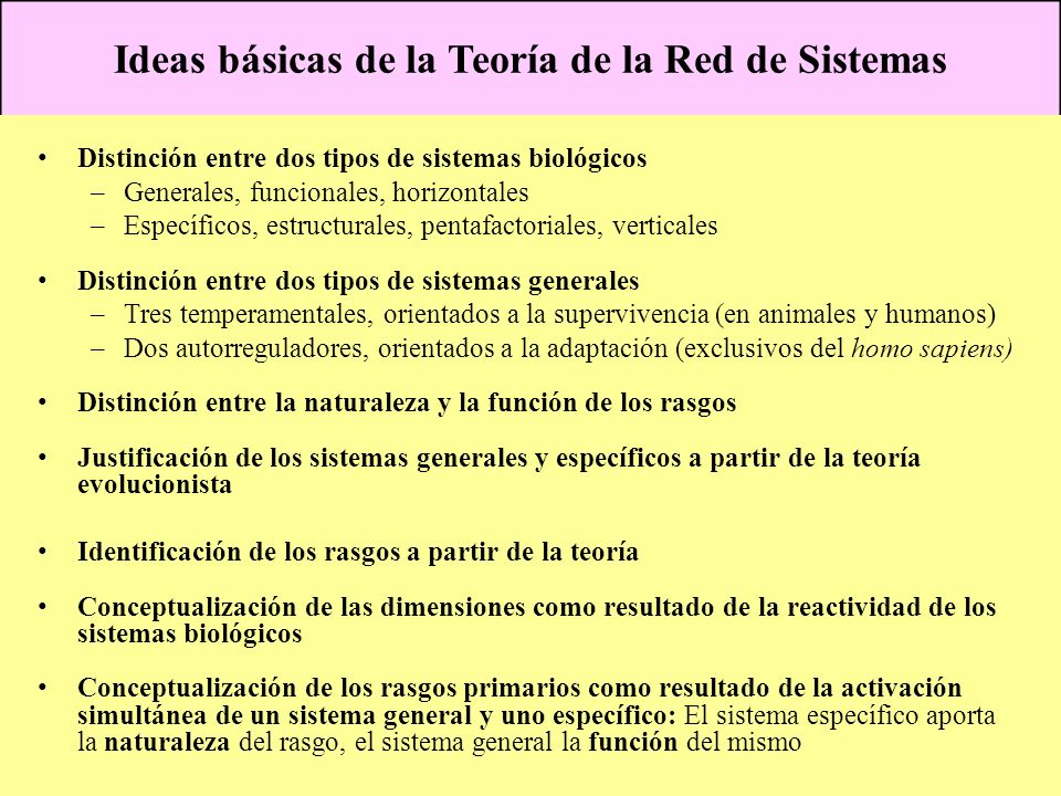 Ideas básicas de la Teoría de la Red de Sistemas
