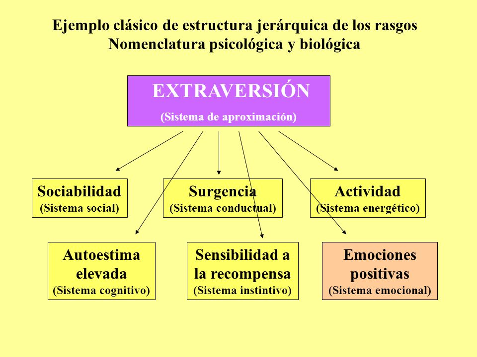 Ejemplo clásico de estructura jerárquica de los rasgos Nomenclatura psicológica y biológica