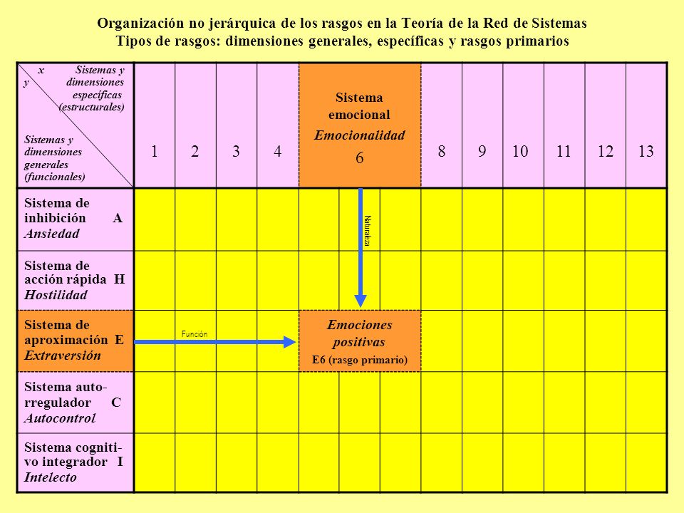 Organización no jerárquica de los rasgos en la Teoría de la Red de Sistemas Tipos de rasgos: dimensiones generales, específicas y rasgos primarios