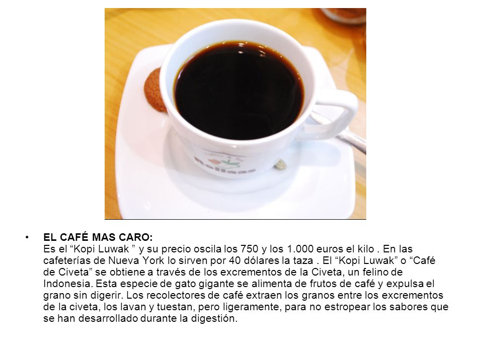 EL CAFÉ MAS CARO: Es el Kopi Luwak y su precio oscila los 750 y los euros el kilo .