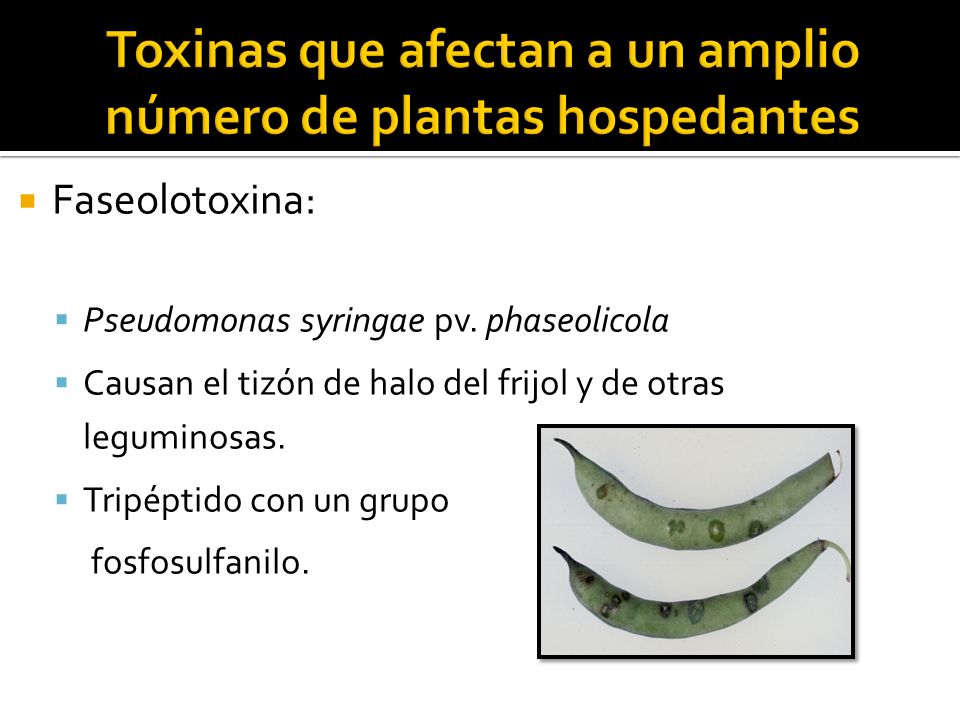 Toxinas que afectan a un amplio número de plantas hospedantes