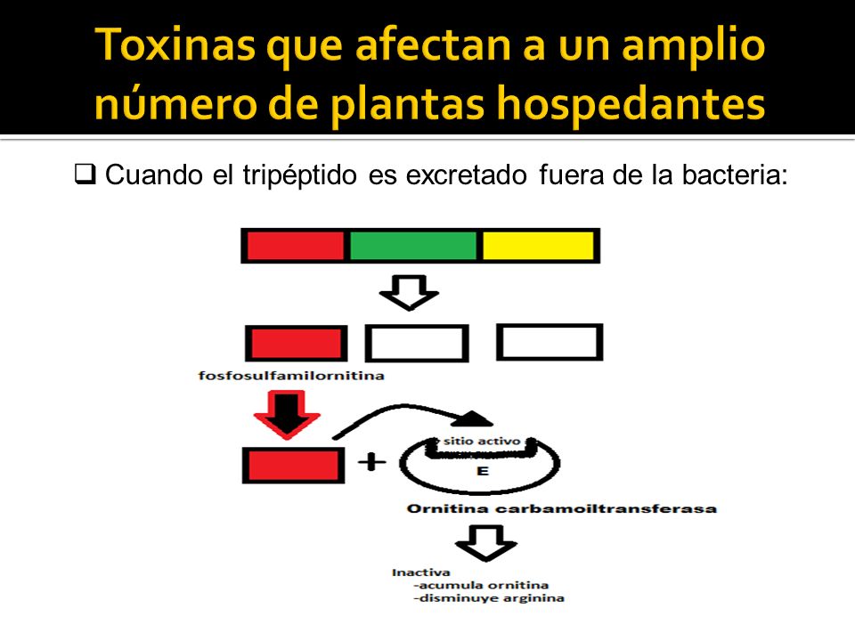 Toxinas que afectan a un amplio número de plantas hospedantes