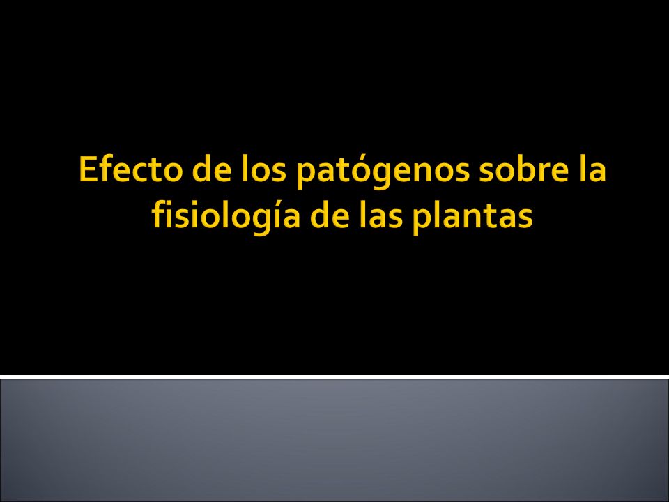 Efecto de los patógenos sobre la fisiología de las plantas
