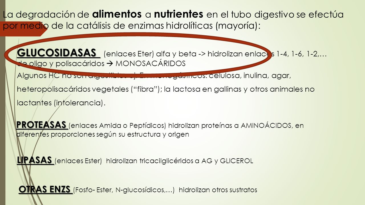 La degradación de alimentos a nutrientes en el tubo digestivo se efectúa por medio de la catálisis de enzimas hidrolíticas (mayoría):