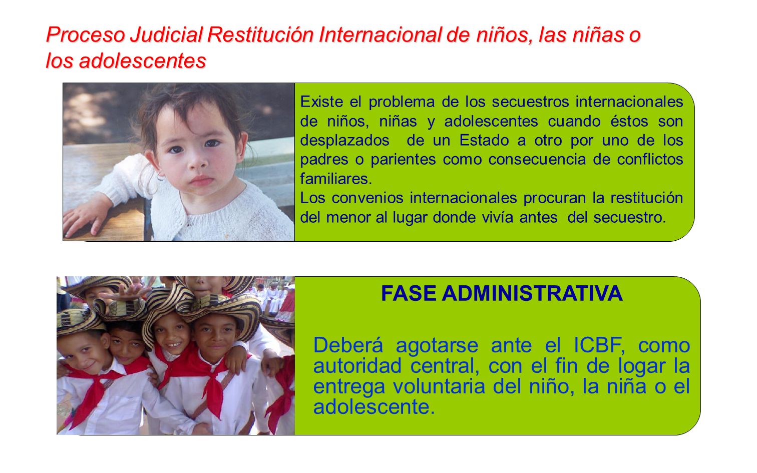 Proceso Judicial Restitución Internacional de niños, las niñas o los adolescentes