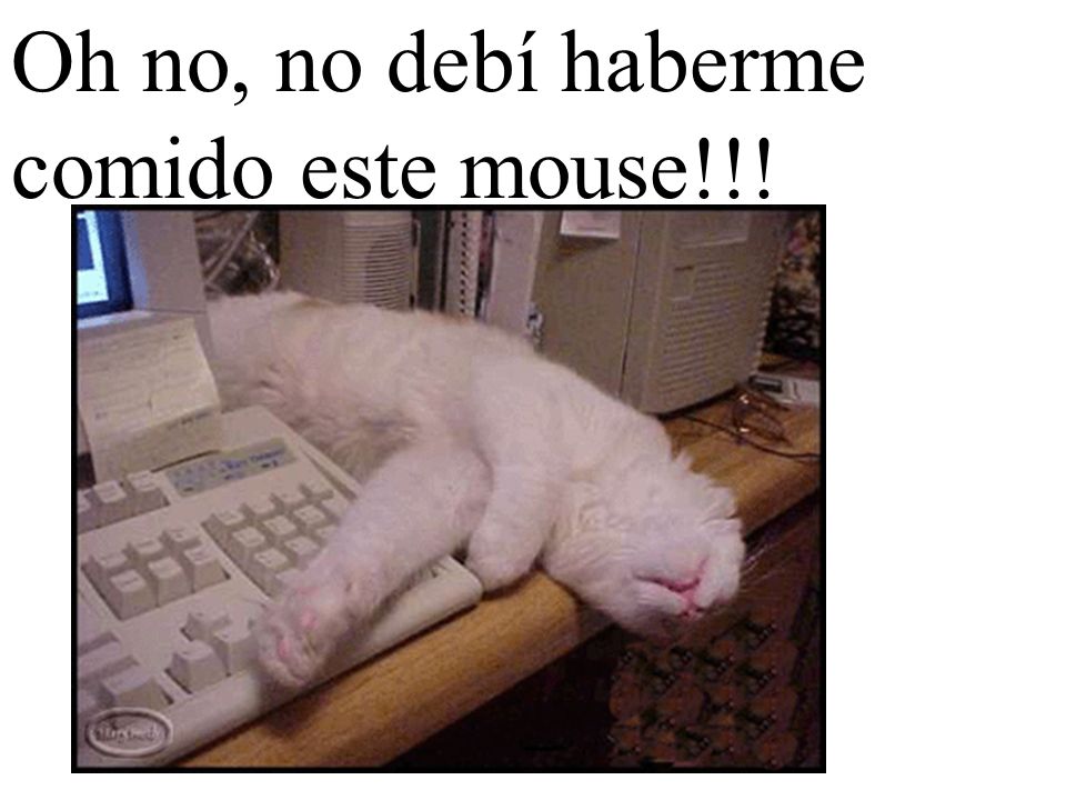 Oh no, no debí haberme comido este mouse!!!