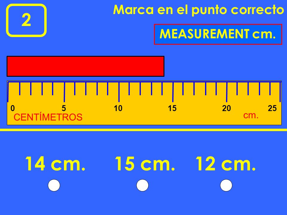 14 cm. 15 cm. 12 cm. 2 Marca en el punto correcto MEASUREMENT cm. cm.