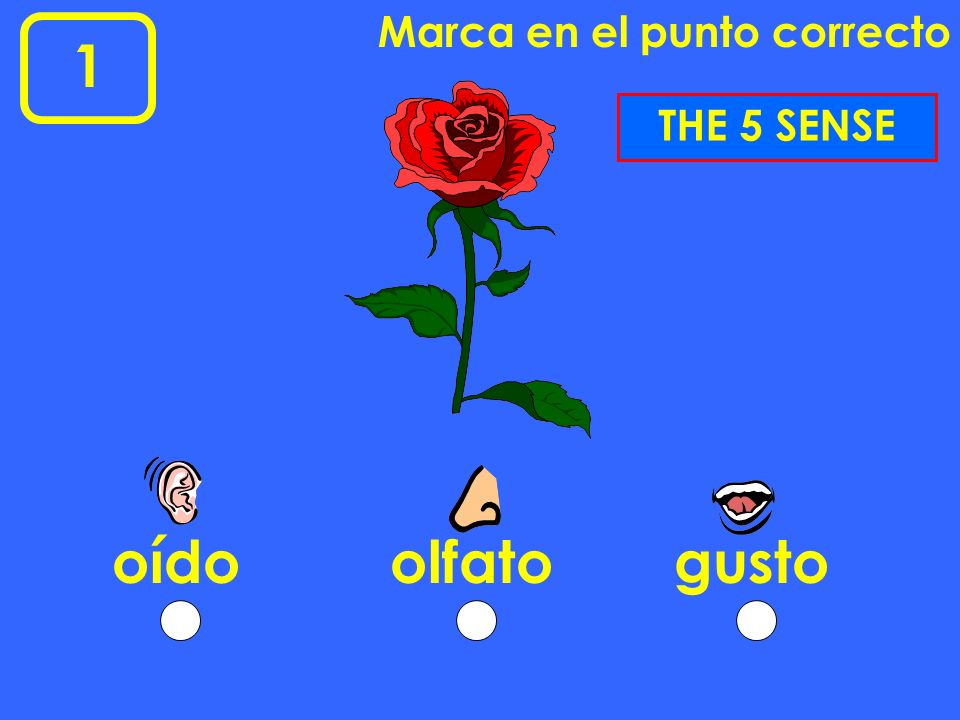 Marca en el punto correcto