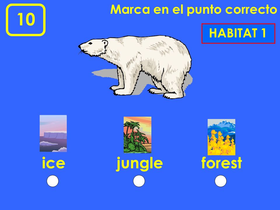 Marca en el punto correcto