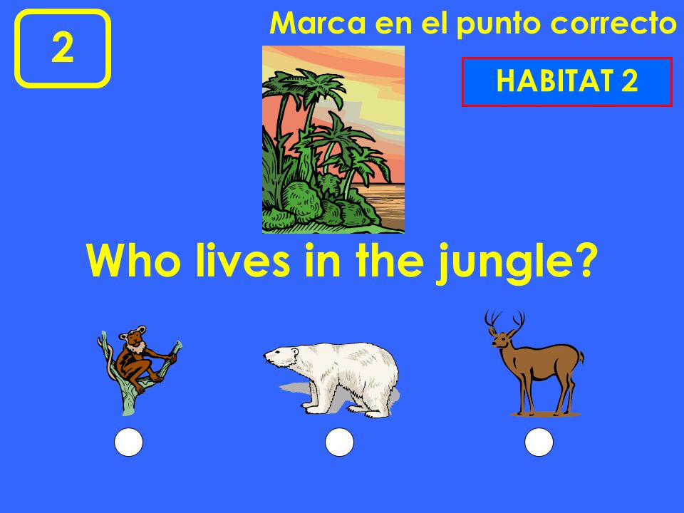 Marca en el punto correcto